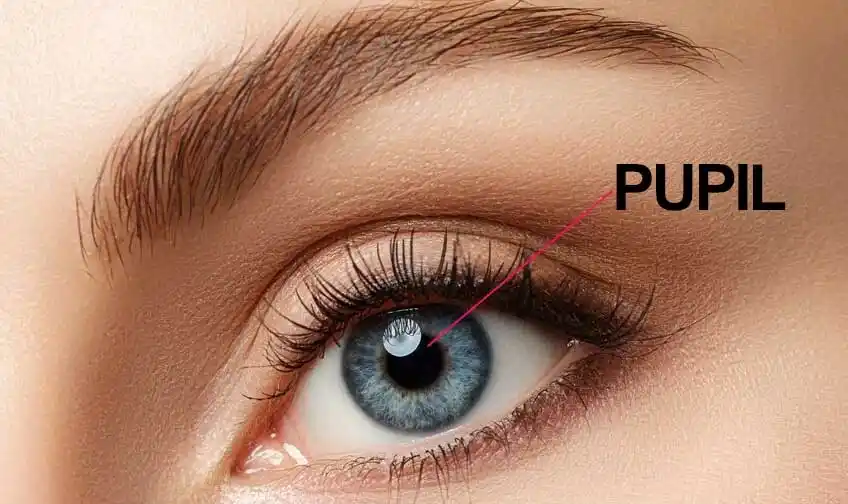 Pupil mata
