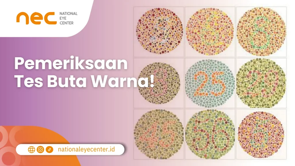 Tes Buta Warna Tes Buta Warna