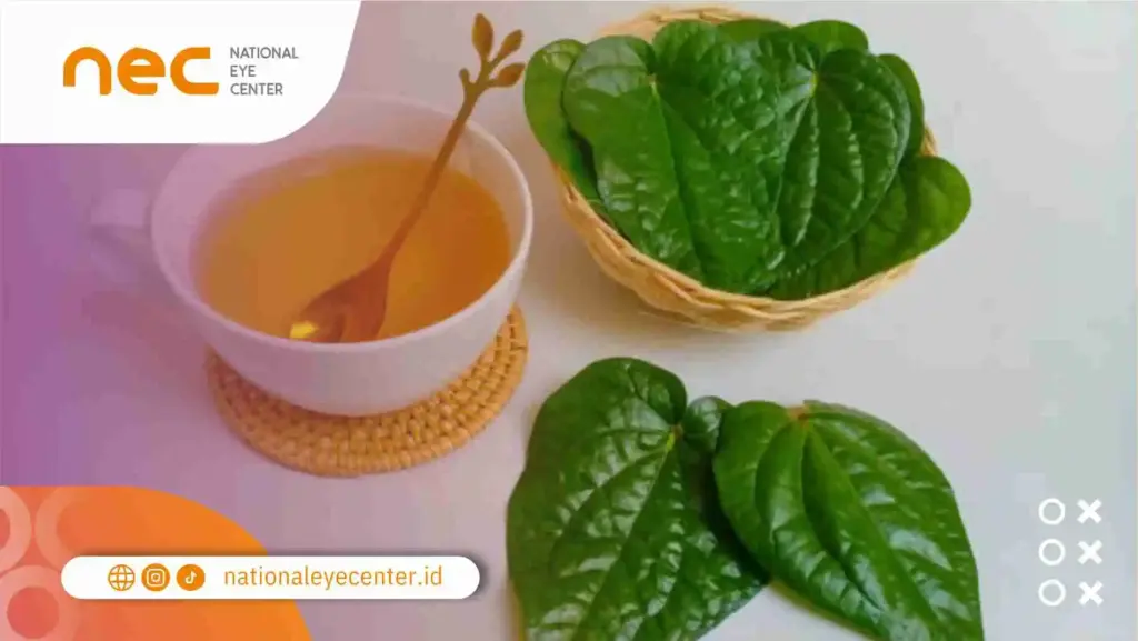 Apa Itu Daun Sirih & Kandungannya?