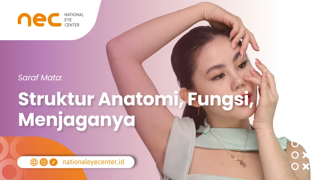 Saraf-Mata-Struktur-Anatomi_-Fungsi_-Menjaganya Saraf-Mata-Struktur-Anatomi_-Fungsi_-Menjaganya