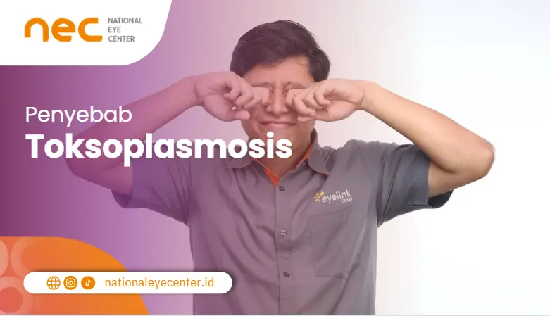 Penyebab Toksoplasmosis