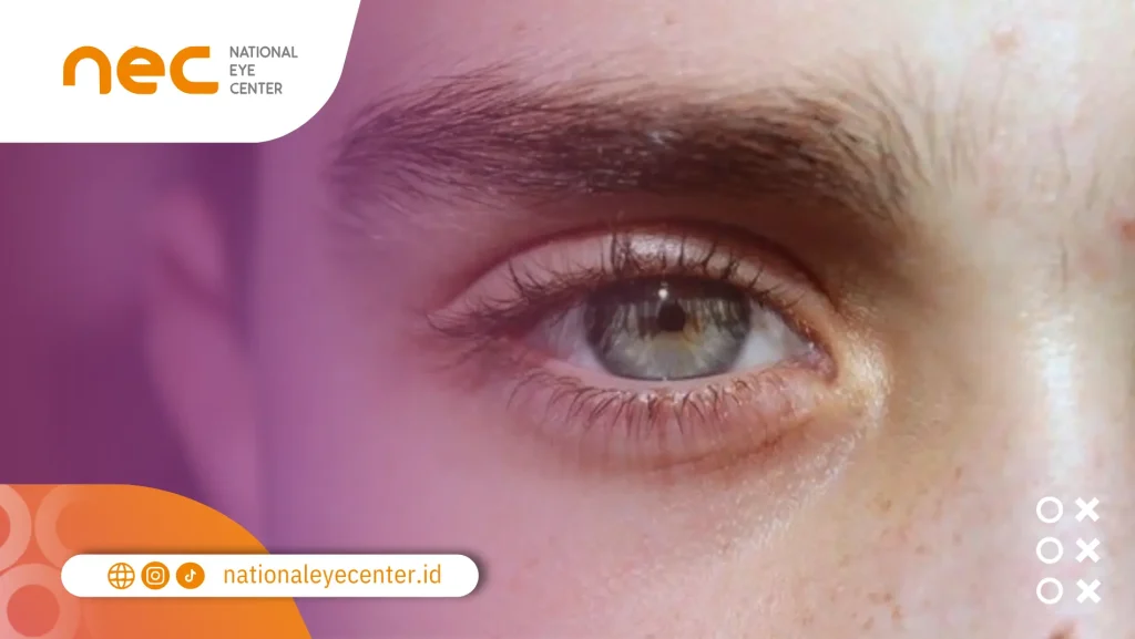 Apakah Warna Mata bisa Berubah? Ini Penjelasannya warna mata berubah