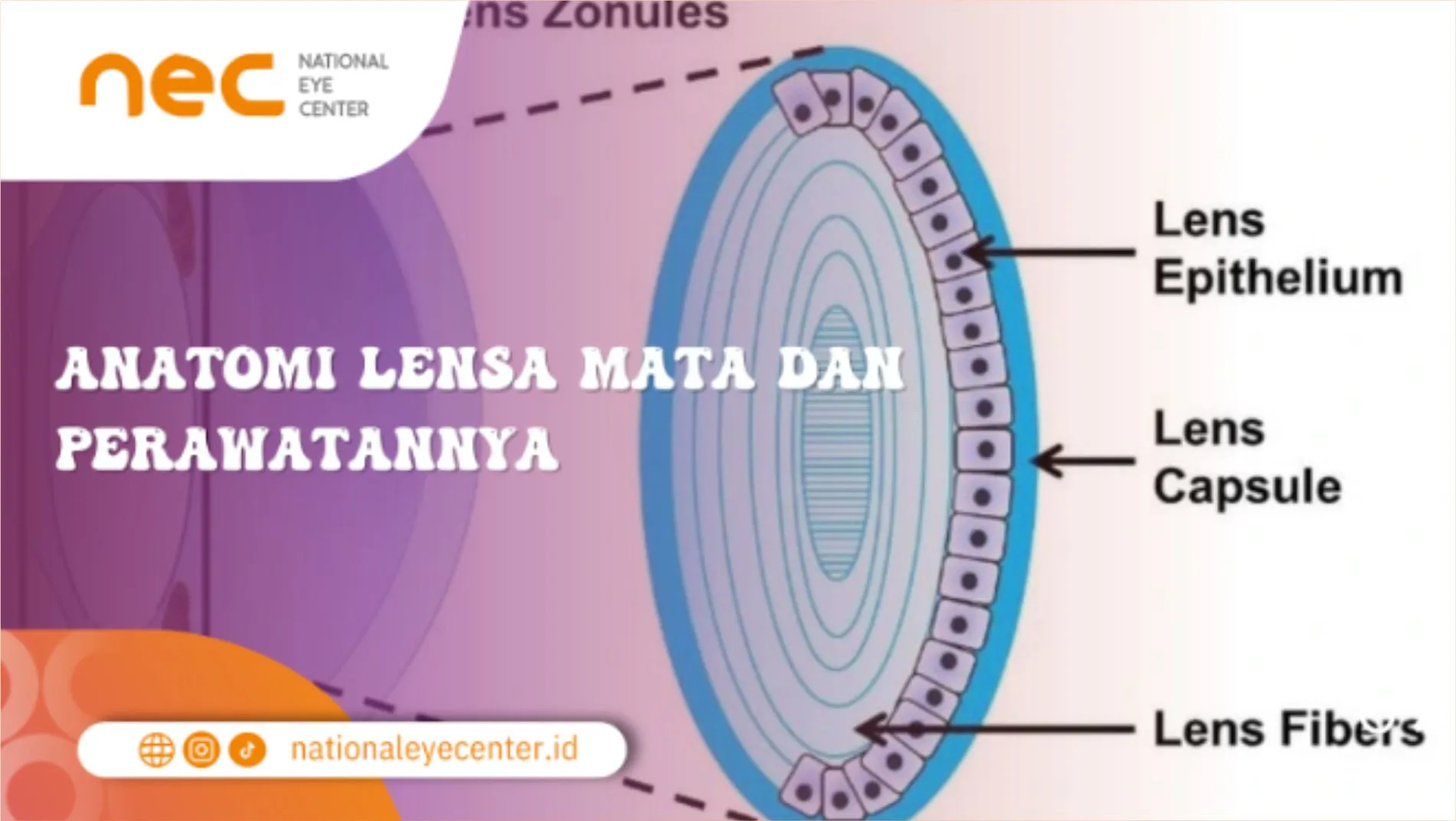 Anatomi Lensa Mata dan Perawatannya