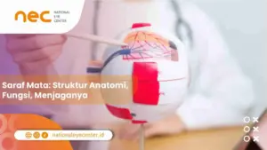 Saraf Mata: Struktur Anatomi, Fungsi, Menjaganya